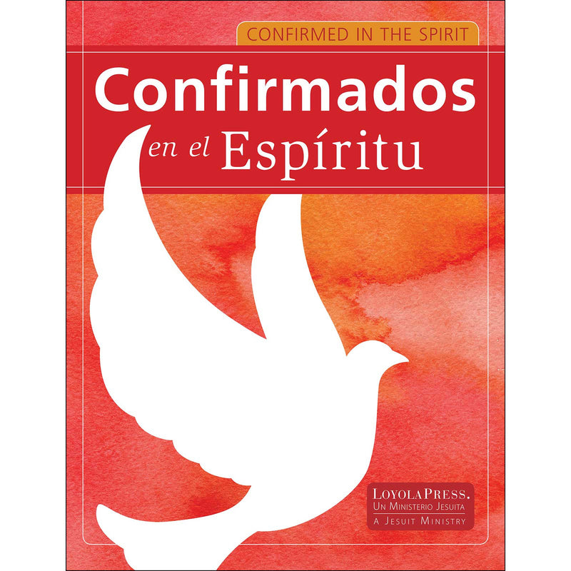 Confirmed in the Spirit: Young People's Book (Bilingual)