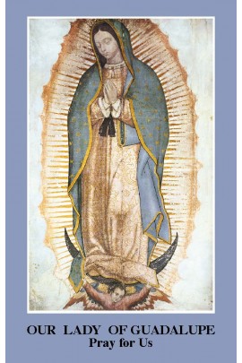 Our Lady of Guadalupe Prayercard (Pack of 100)