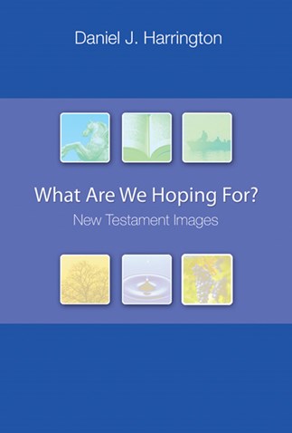 What Are We Hoping For?: New Testament Images