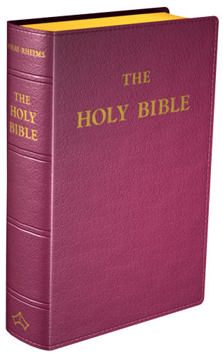 Douay-Rheims Bible - Standard Size - Flexible cover (Burgundy Leather)