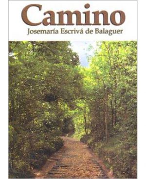 Camino (Spanish edition of THE WAY)