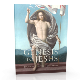Genesis to Jesus – Participant Workbook