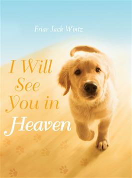 I Will See You in Heaven (hardcover)