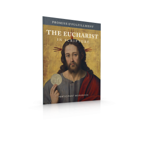 The Eucharist in Scripture Participant Workbook (Promise and Fulfillment)