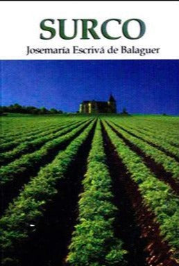 Surco (Spanish edition of FURROW)