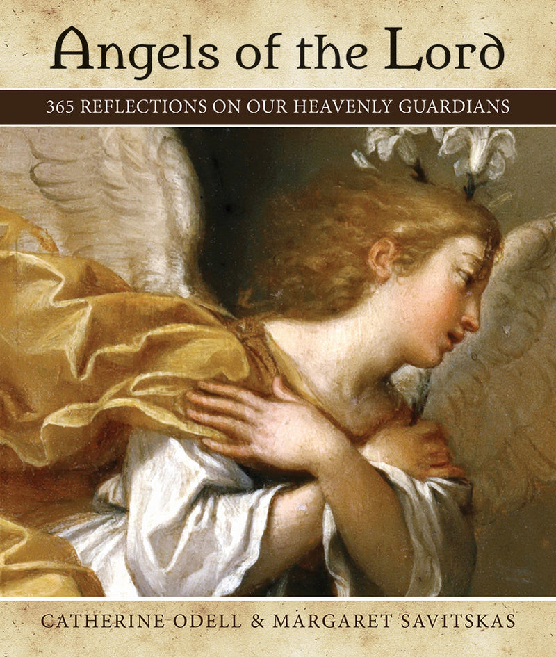 Angels of the Lord: 365 Reflections